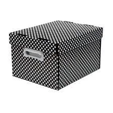 Caixa organizadora 21,2x28x37cm bola bran Polibras