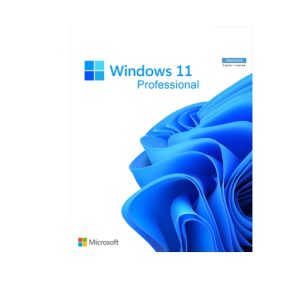 Windows 11 Professional (Chave de activação)